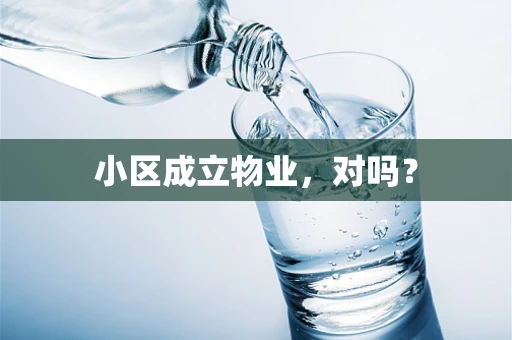 小区成立物业，对吗？