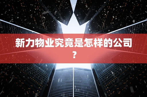 新力物业究竟是怎样的公司？