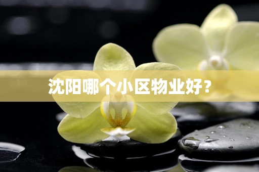 沈阳哪个小区物业好？