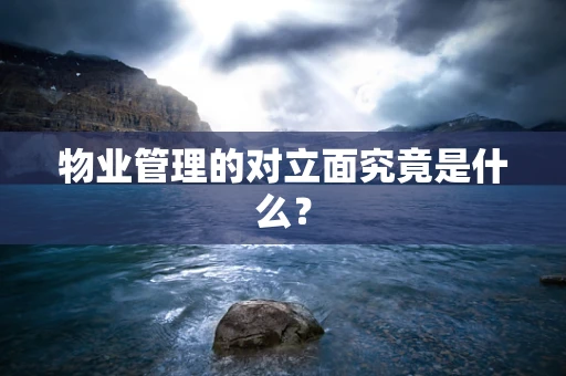 物业管理的对立面究竟是什么？