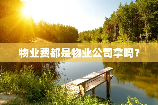 物业费都是物业公司拿吗？