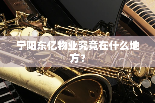 宁阳东亿物业究竟在什么地方？