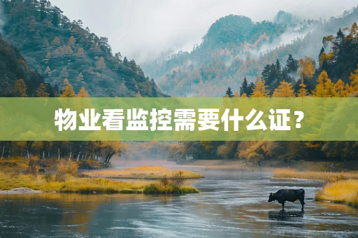物业看监控需要什么证？