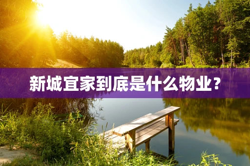 新城宜家到底是什么物业？