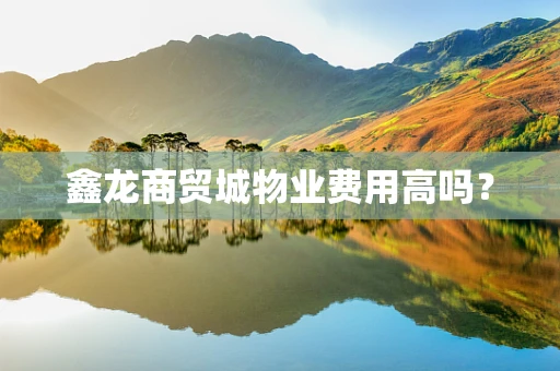 鑫龙商贸城物业费用高吗？