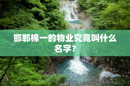 邯郸棉一的物业究竟叫什么名字？