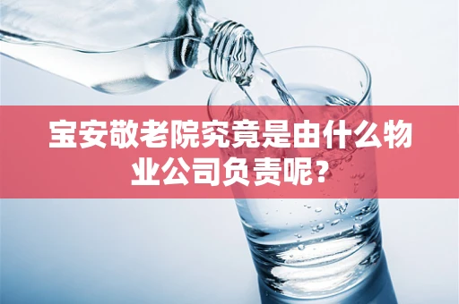 宝安敬老院究竟是由什么物业公司负责呢？