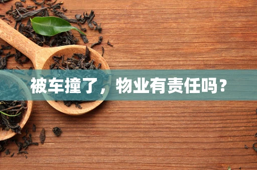 被车撞了，物业有责任吗？