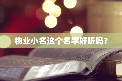 物业小名这个名字好听吗？