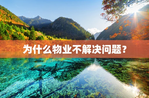 为什么物业不解决问题？