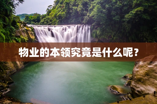 物业的本领究竟是什么呢？