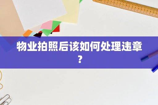 物业拍照后该如何处理违章？