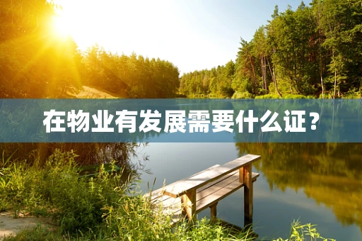 在物业有发展需要什么证？