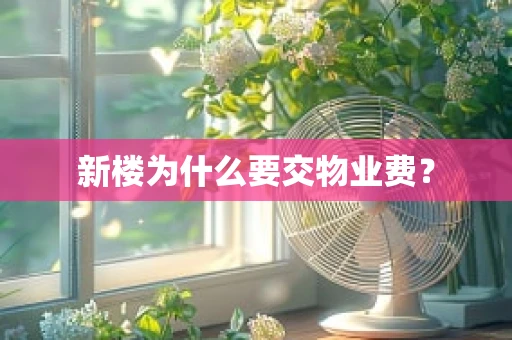 新楼为什么要交物业费？