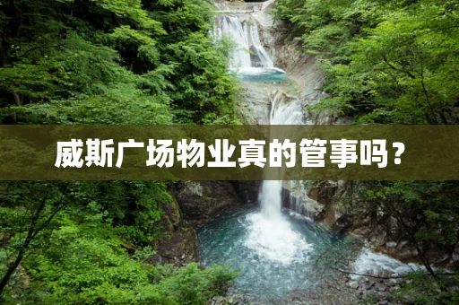 威斯广场物业真的管事吗？