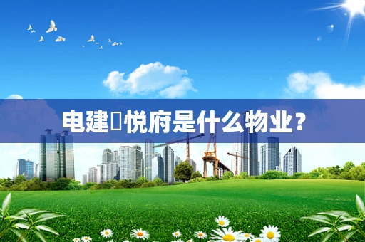 电建洺悦府是什么物业？