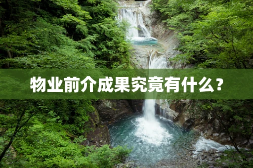 物业前介成果究竟有什么？