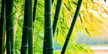 柳州有万科物业吗？