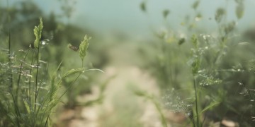 合肥青秀到底是什么物业单位？