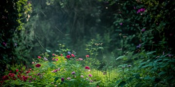 保利物业什么时候会退市？