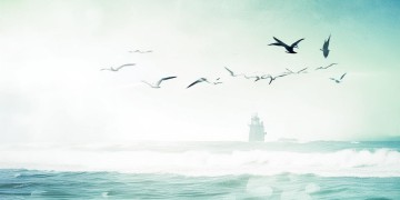 中海物业的目标究竟是什么？