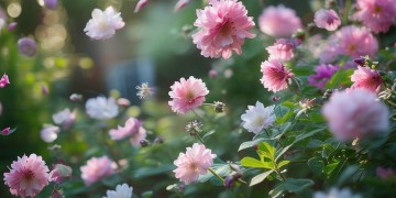 花呗能去物业交费吗？
