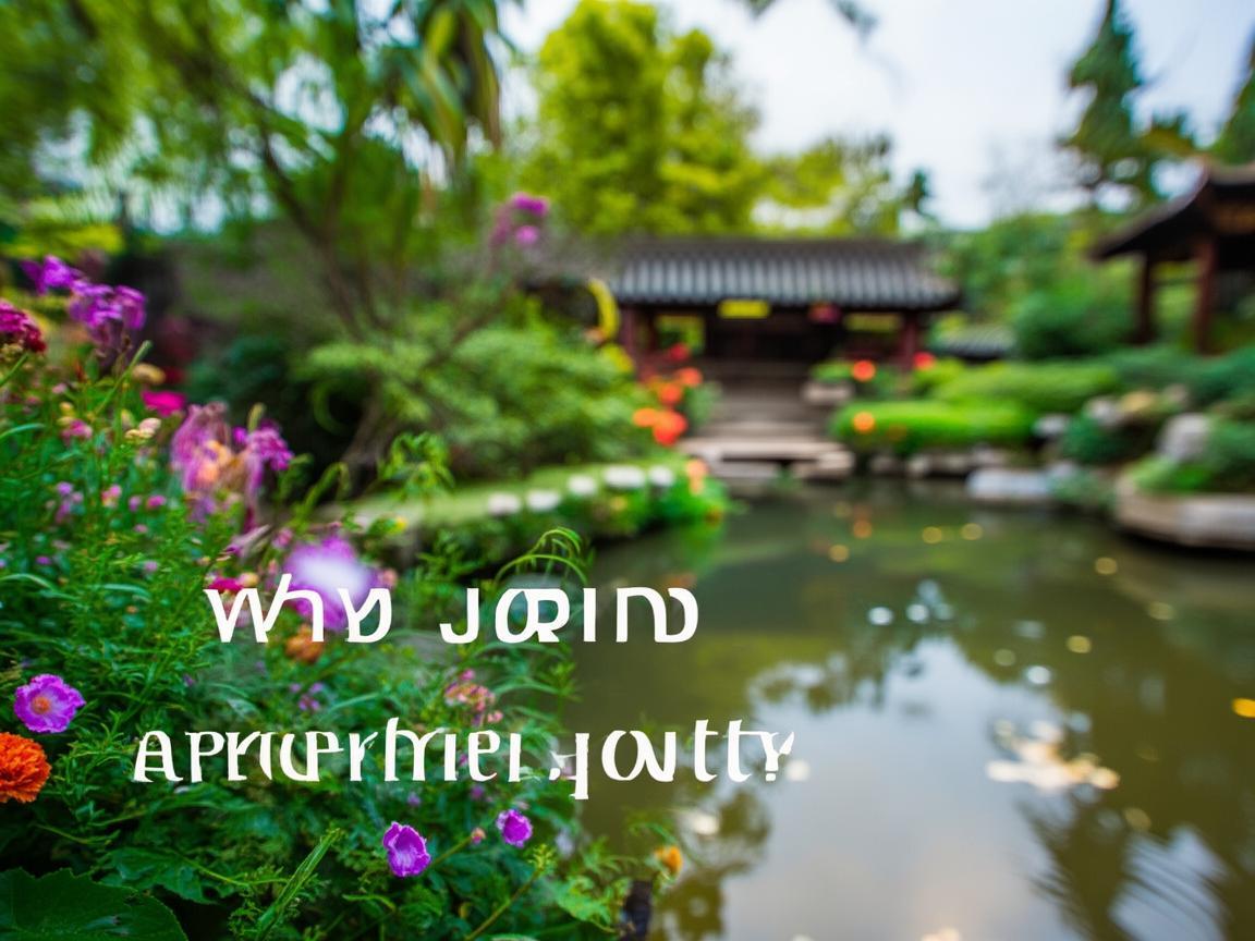 为什么加入中海物业? 为什么加入中海物业?